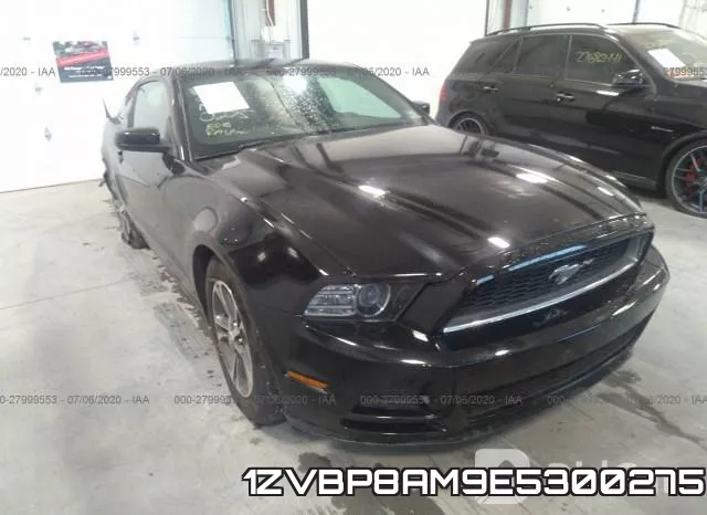 1ZVBP8AM9E5300275