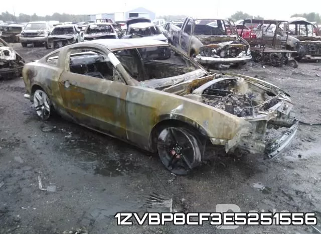 1ZVBP8CF3E5251556