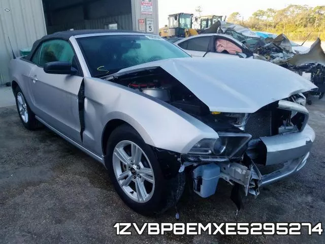 1ZVBP8EMXE5295274
