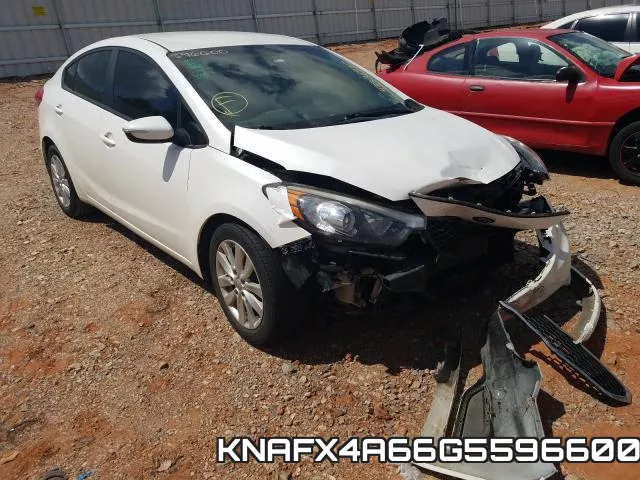 KNAFX4A66G5596600