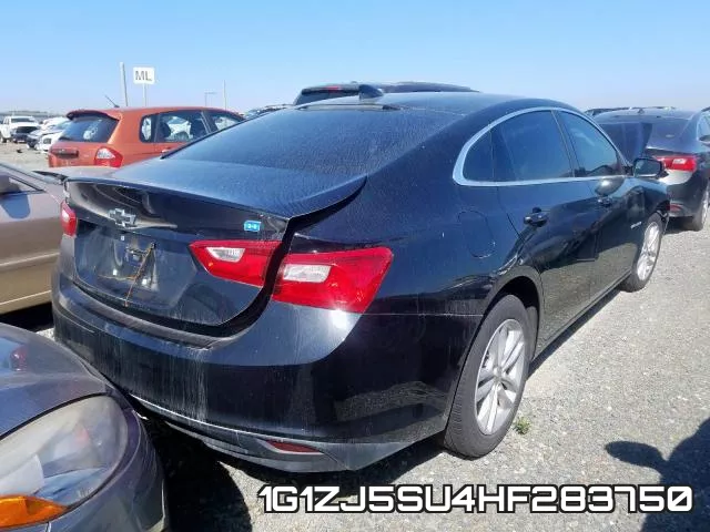 1G1ZJ5SU4HF283750_4.webp