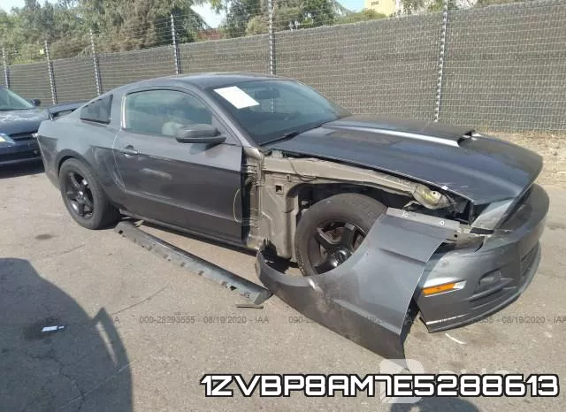 1ZVBP8AM7E5288613