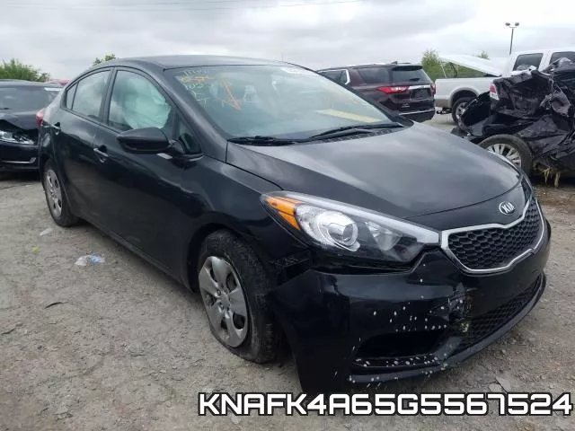 KNAFK4A65G5567524