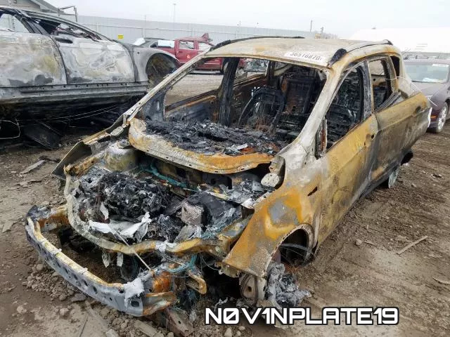 N0V1NPLATE19_2.webp