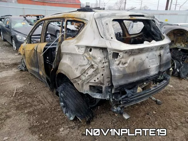 N0V1NPLATE19_3.webp
