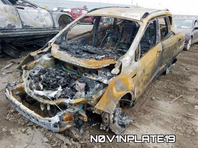 N0V1NPLATE19_9.webp