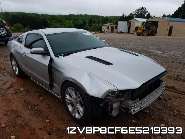1ZVBP8CF6E5219393