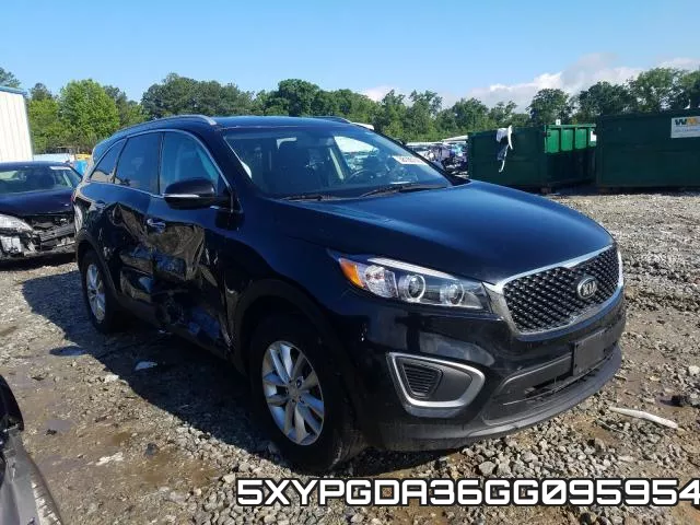 5XYPGDA36GG095954