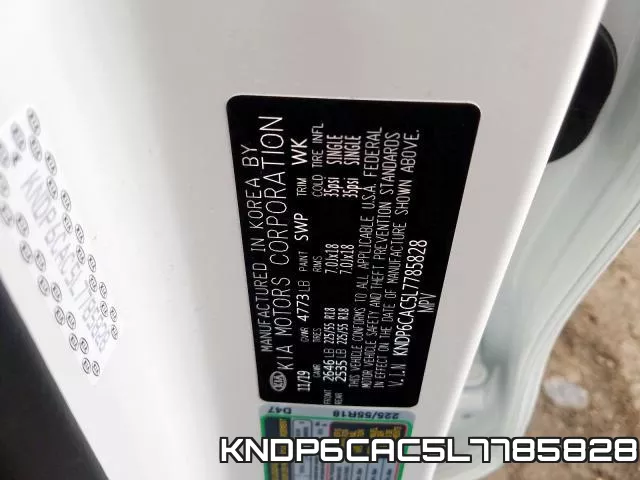 KNDP6CAC5L7785828