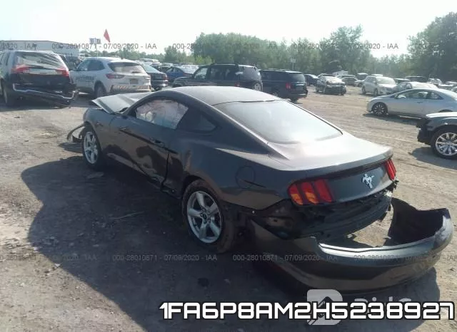 1FA6P8AM2H5238927_3.webp