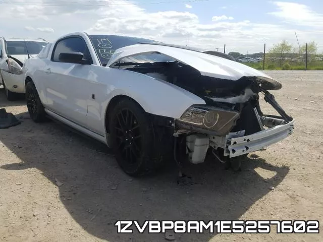 1ZVBP8AM1E5257602