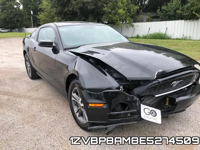 1ZVBP8AM8E5274509