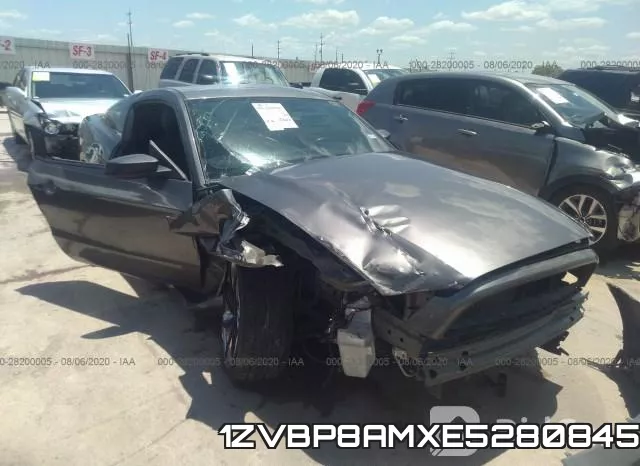 1ZVBP8AMXE5280845