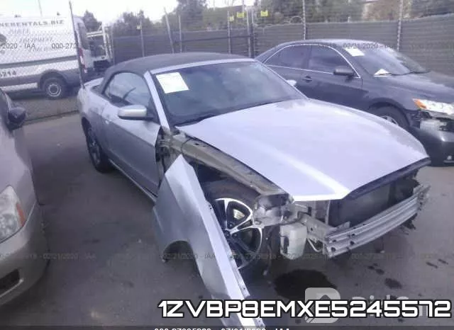1ZVBP8EMXE5245572