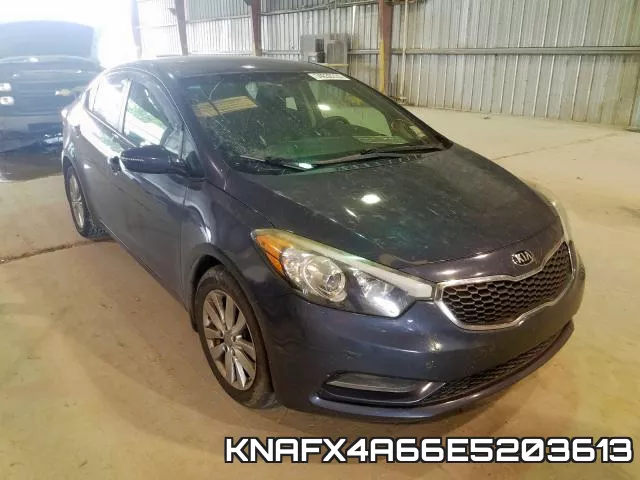 KNAFX4A66E5203613