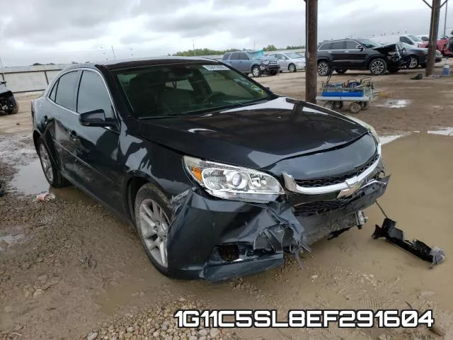 1G11C5SL8EF291604