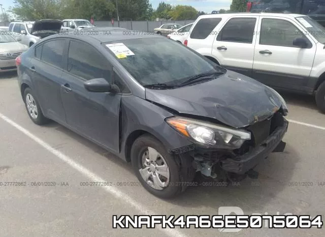 KNAFK4A66E5075064
