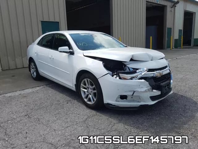 1G11C5SL6EF145797