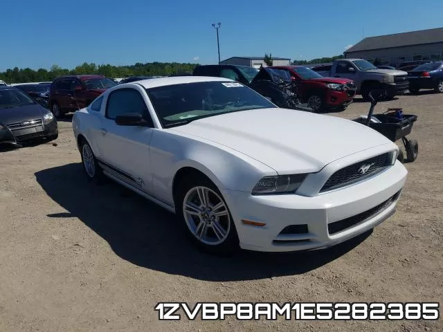 1ZVBP8AM1E5282385