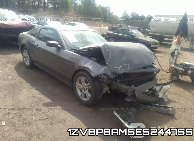 1ZVBP8AM5E5244755
