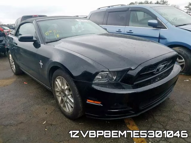 1ZVBP8EM7E5301046