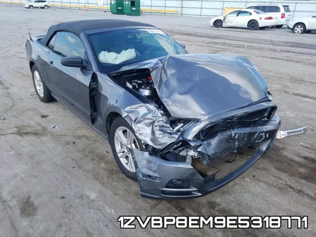 1ZVBP8EM9E5318771