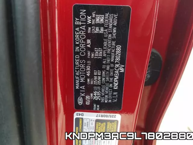 KNDPM3AC9L7802880_10.webp