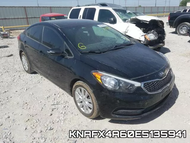 KNAFX4A60E5135941