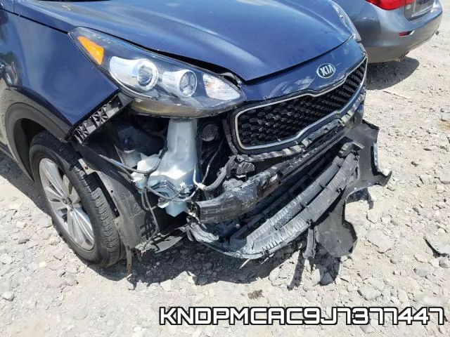 KNDPMCAC9J7377447_9.webp