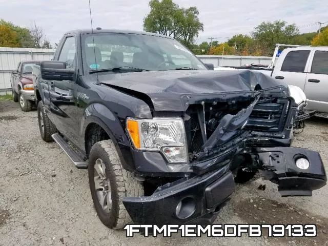 1FTMF1EM6DFB79133