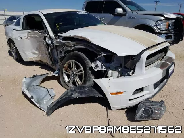 1ZVBP8AM8E5271562