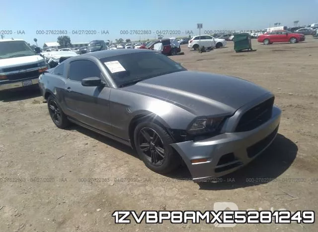 1ZVBP8AMXE5281249