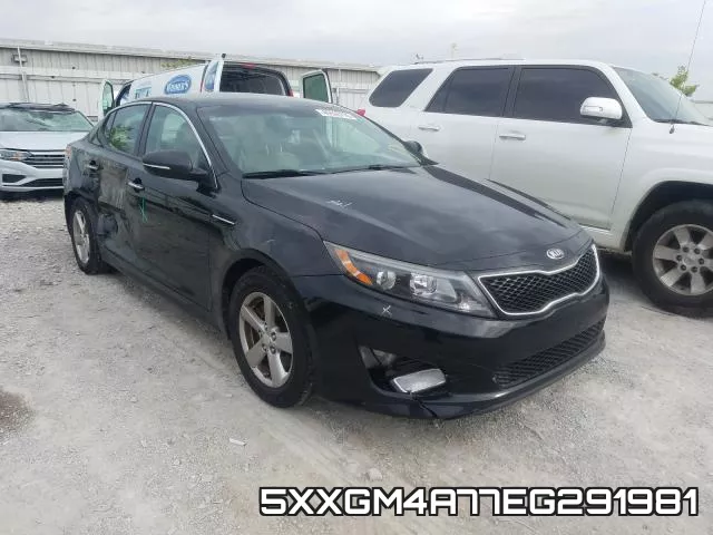 5XXGM4A77EG291981