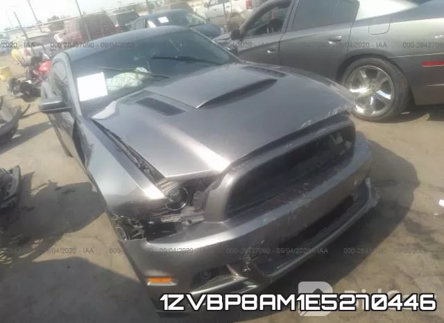 1ZVBP8AM1E5270446