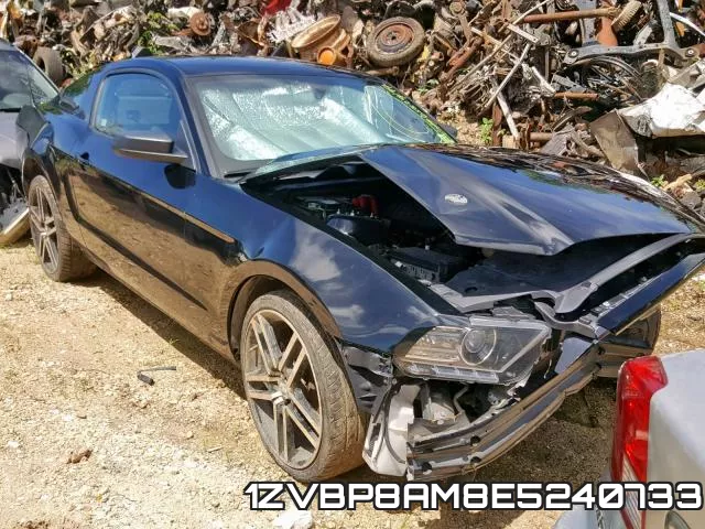 1ZVBP8AM8E5240733
