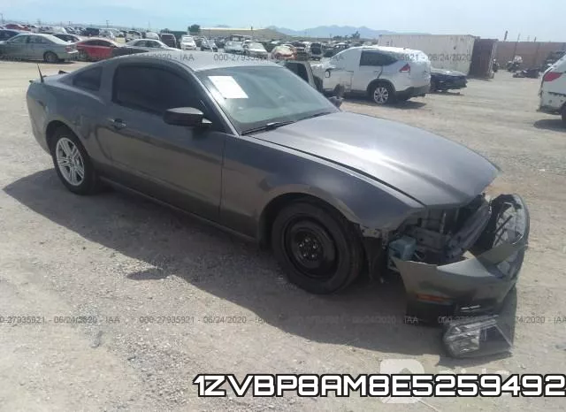 1ZVBP8AM8E5259492