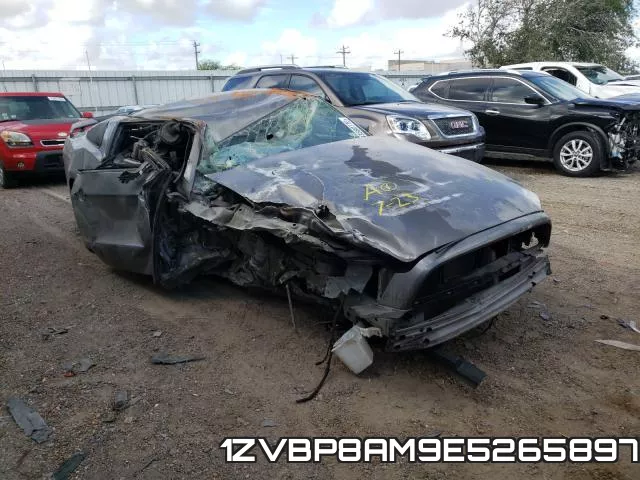 1ZVBP8AM9E5265897