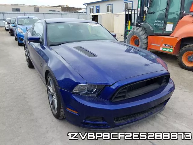 1ZVBP8CF2E5288873
