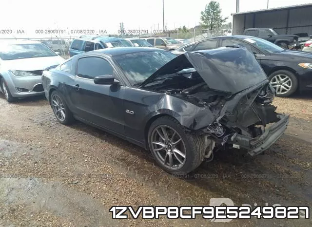 1ZVBP8CF9E5249827