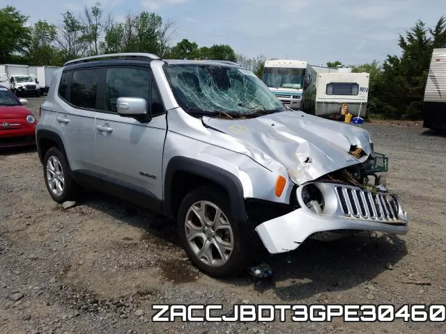 ZACCJBDT3GPE30460