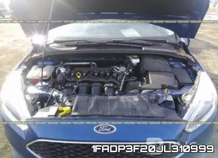 1FADP3F20JL310999