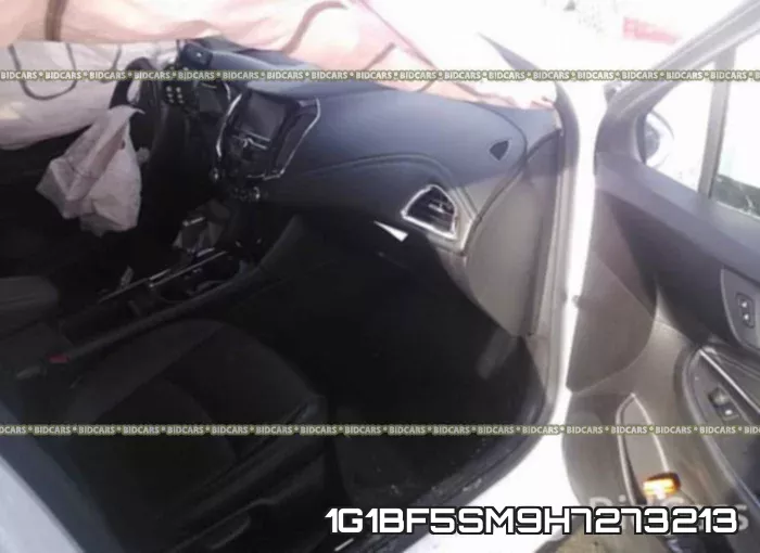 1G1BF5SM9H7273213_5.webp