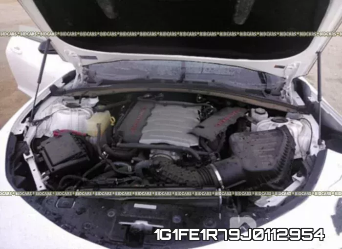 1G1FE1R79J0112954_10.webp