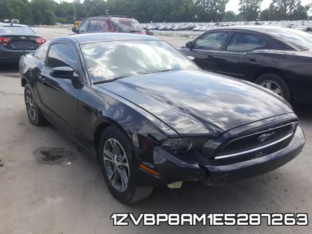 1ZVBP8AM1E5287263