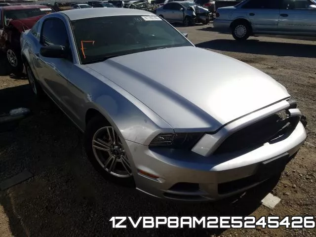 1ZVBP8AM2E5245426