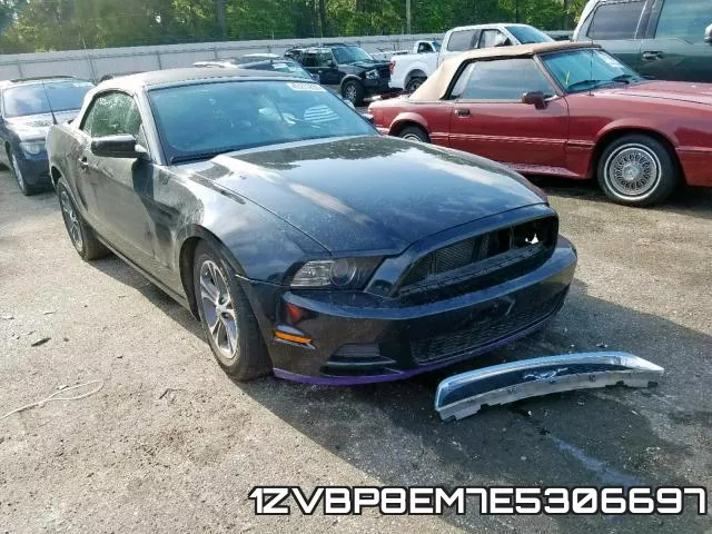 1ZVBP8EM7E5306697