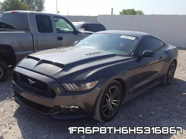 1FA6P8TH6H5316867_2.webp