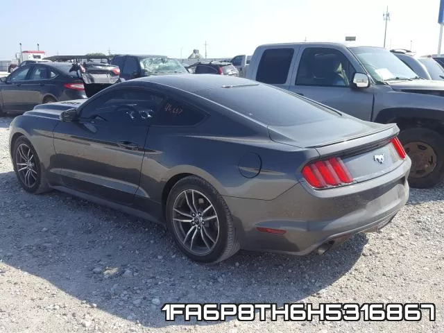 1FA6P8TH6H5316867_3.webp