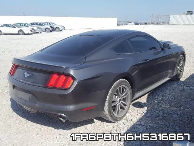 1FA6P8TH6H5316867_4.webp