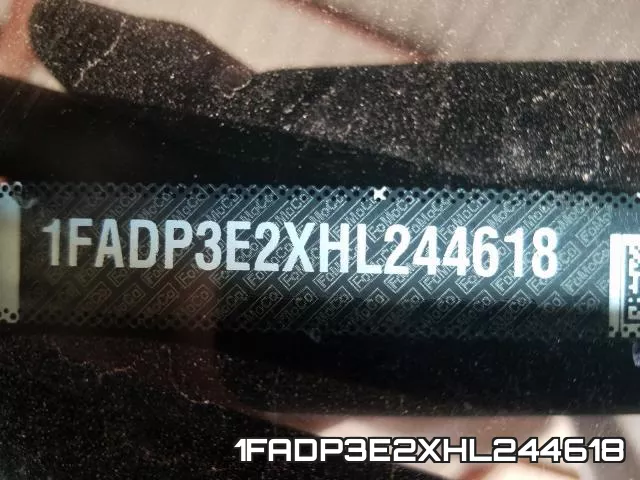 1FADP3E2XHL244618_10.webp